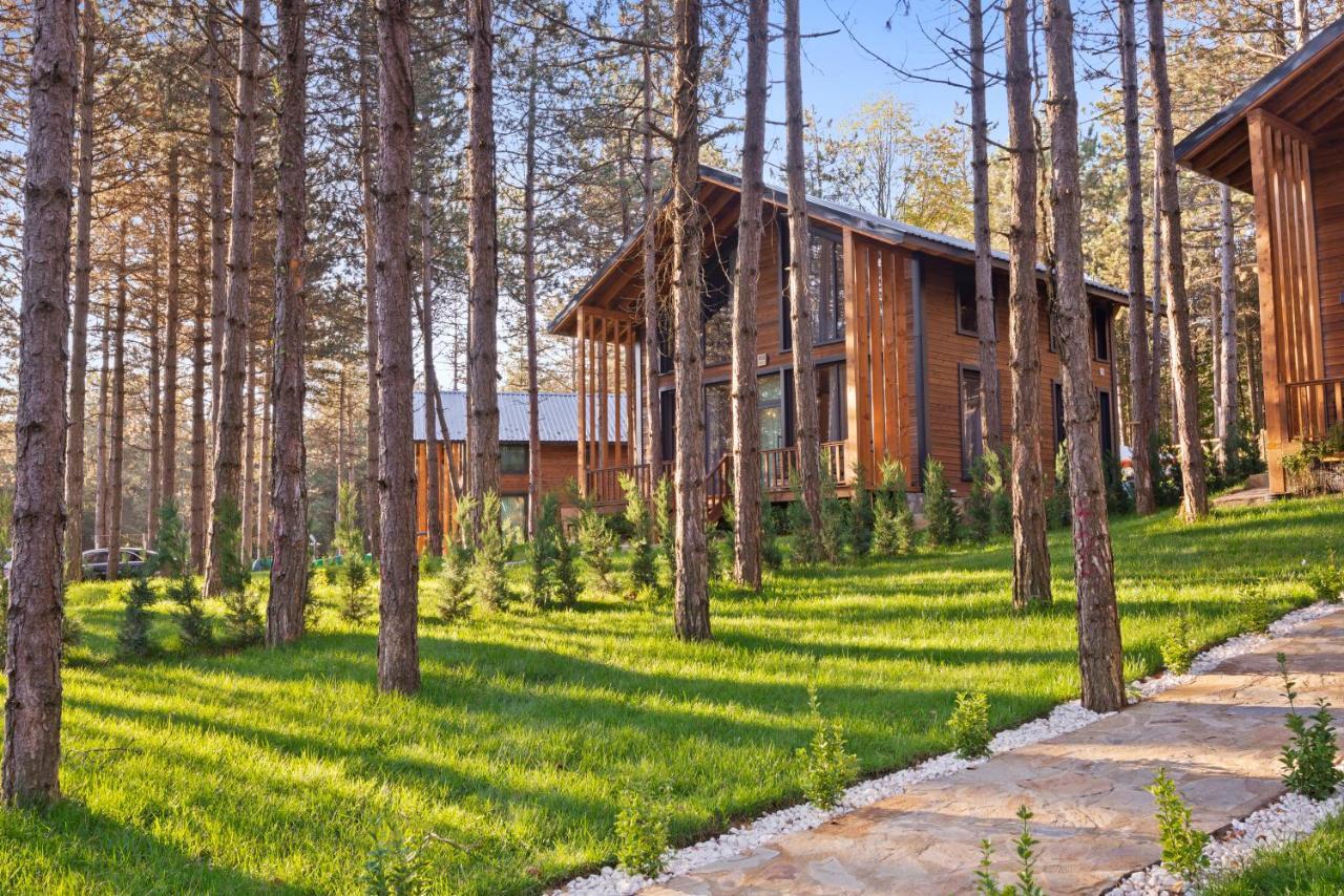 Harmony Green Village Resort Mahmudiye Extérieur photo
